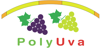 polyuva_uva_v2_small_logo